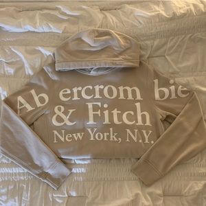 Abercrombie & Fitch Fleece Hoodie